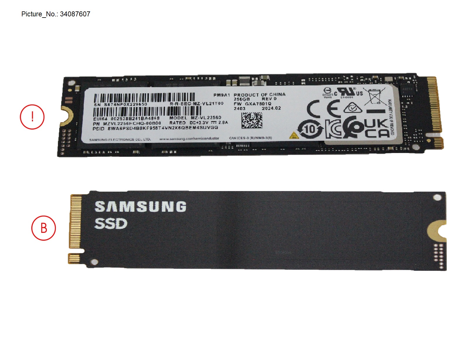 SSD PCIE M.2 2280 256GB (PM9A1 NON-SED)