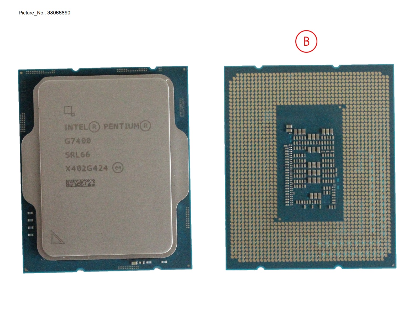 PENTIUM GOLD G7400