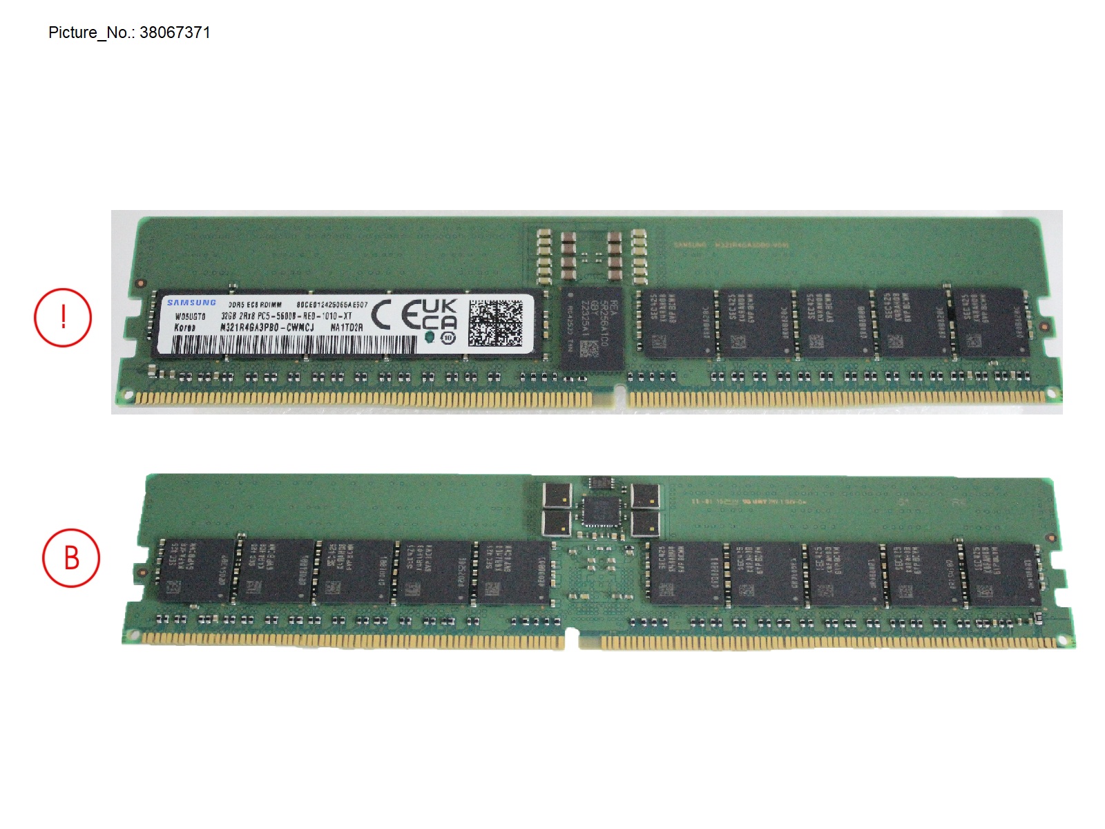 32GB (1X32GB) 2RX8 DDR5-5600 R ECC