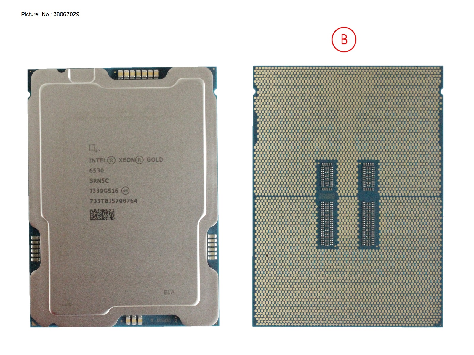 XEON GOLD 6530