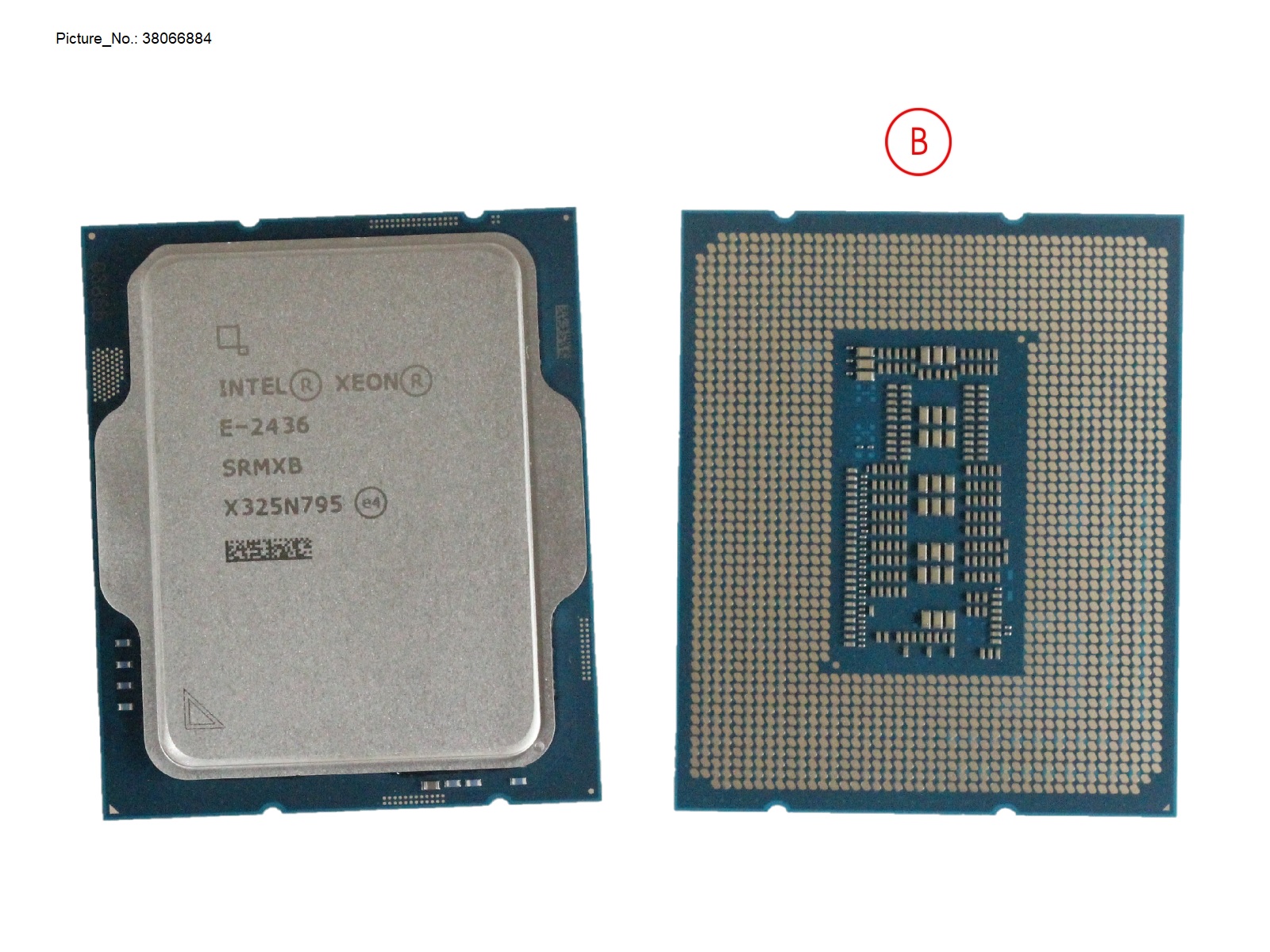 XEON E-2436