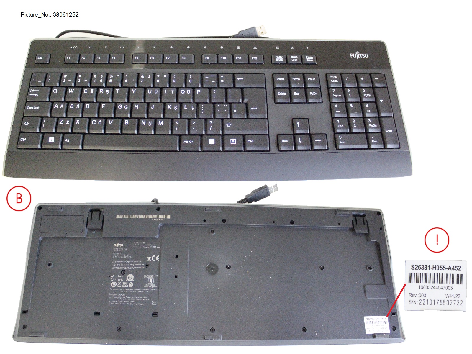 KEYBOARD KB955 USB LV/US