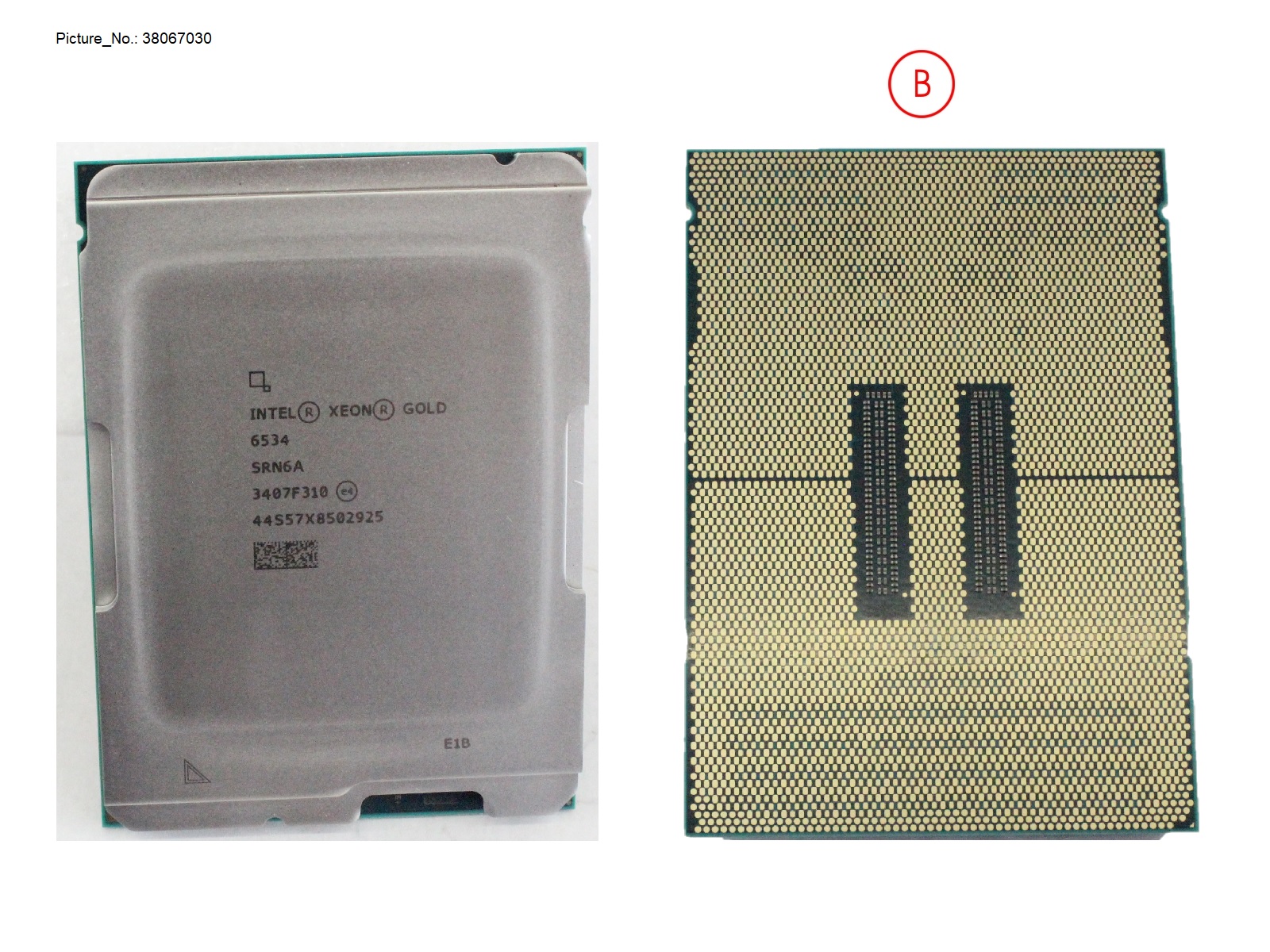 XEON GOLD 6534