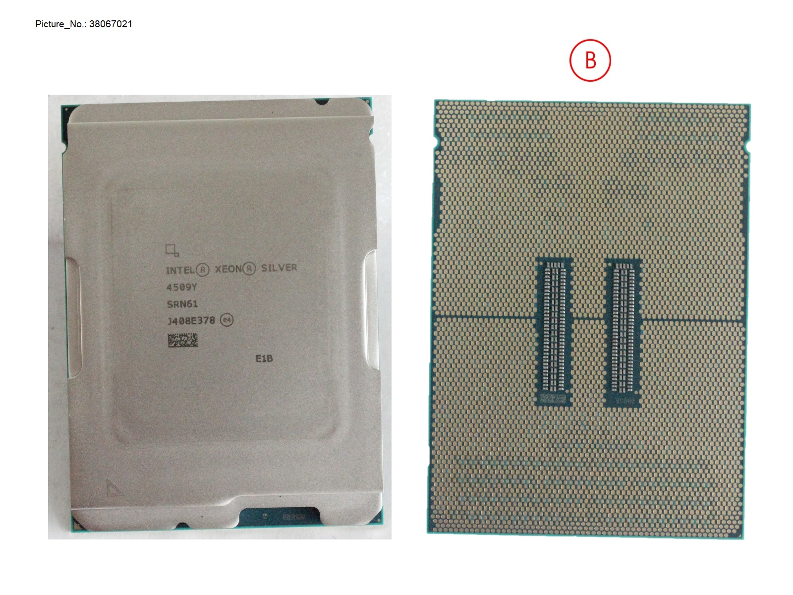 XEON SILVER 4509Y